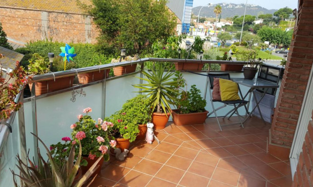 Apartamento / piso - Reventa - Pineda de Mar - Poble