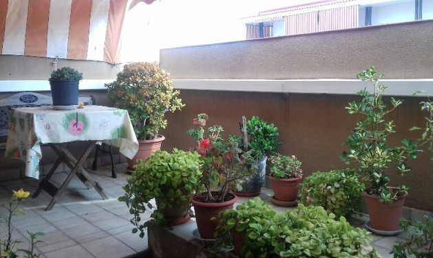 duplex - Herverkoop - Pineda de Mar - Poble