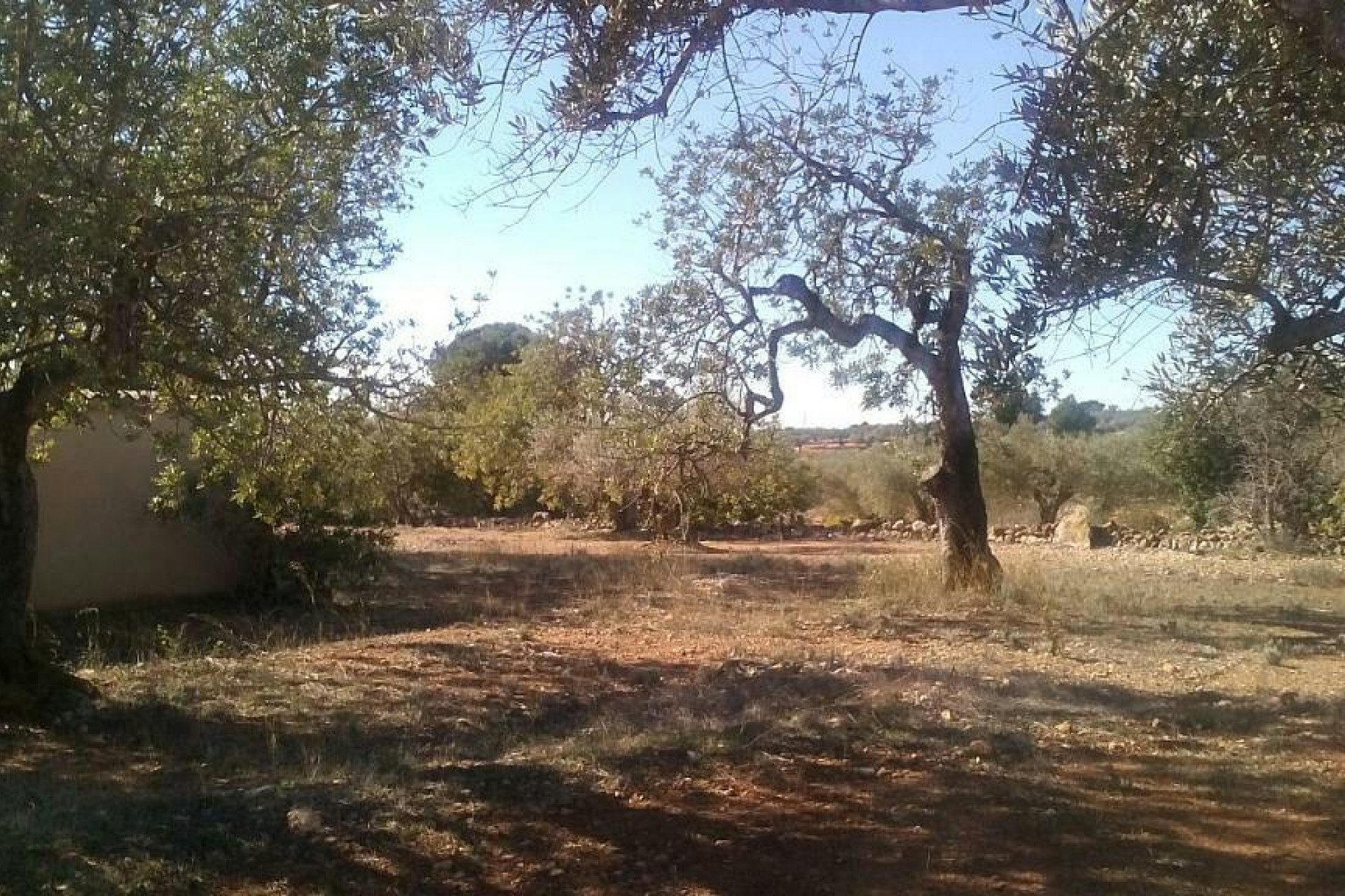 Herverkoop - Boerderijen - Camarles