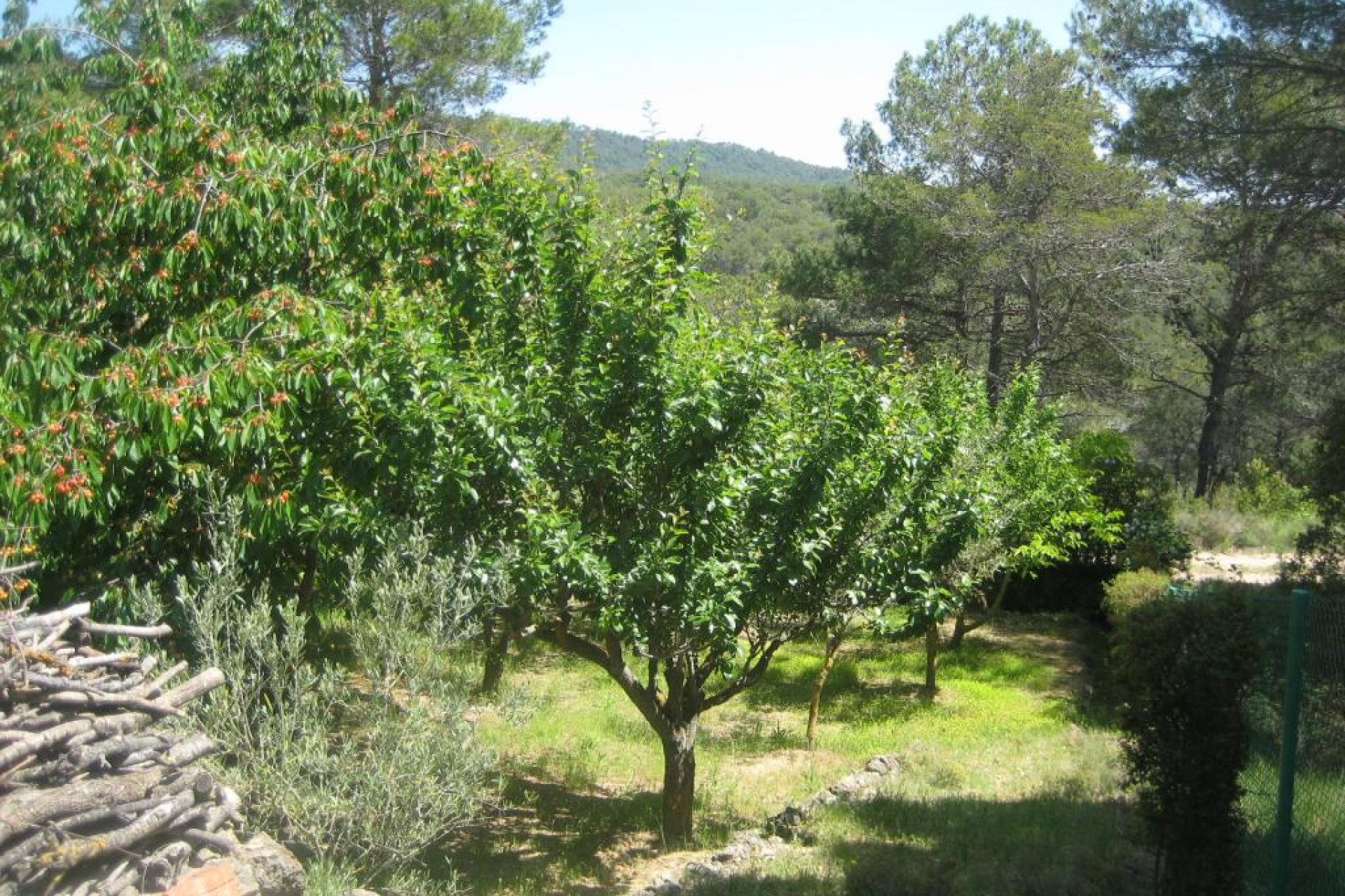 Obra nueva - Chalet - Querol