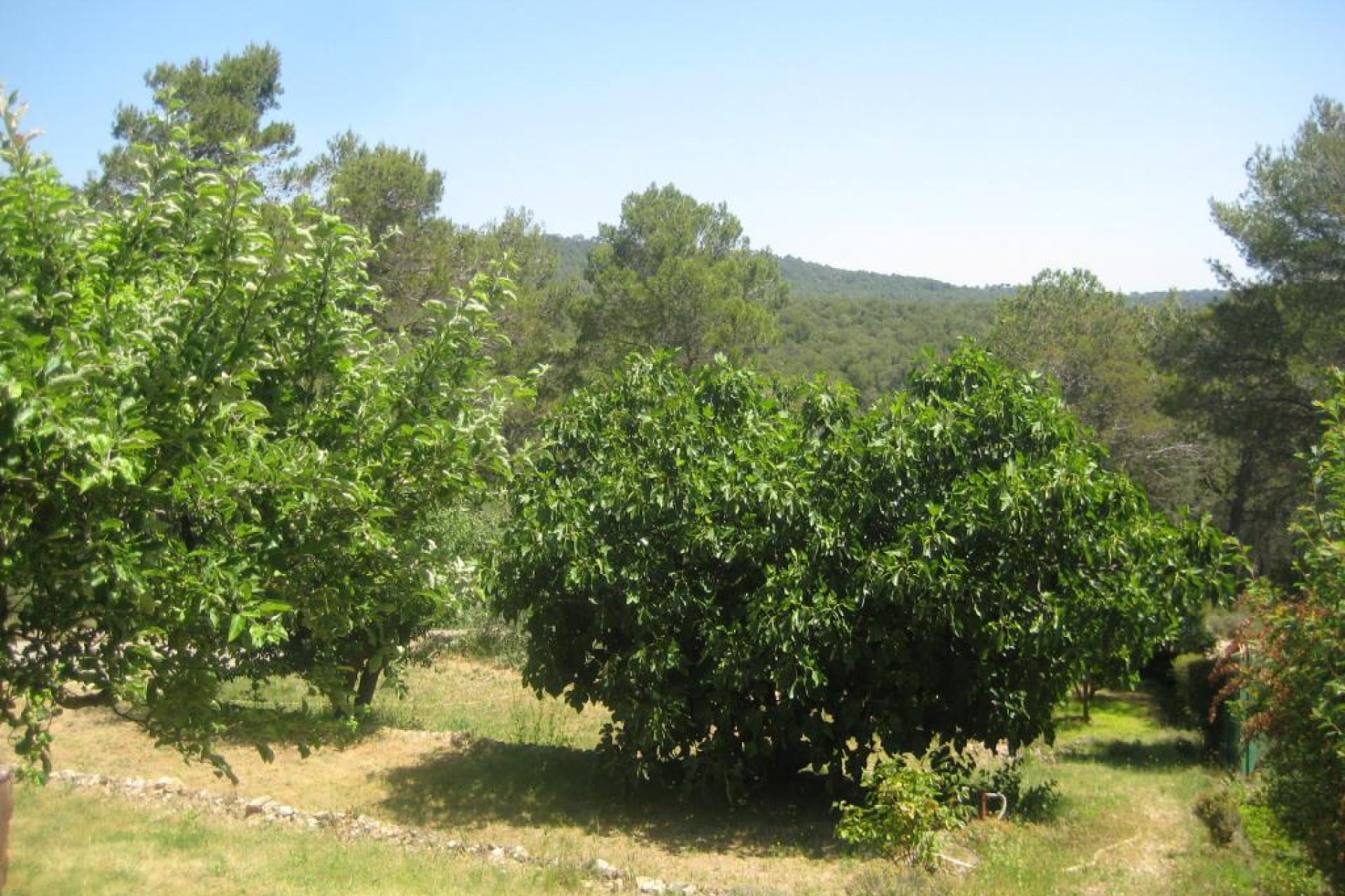 Obra nueva - Chalet - Querol