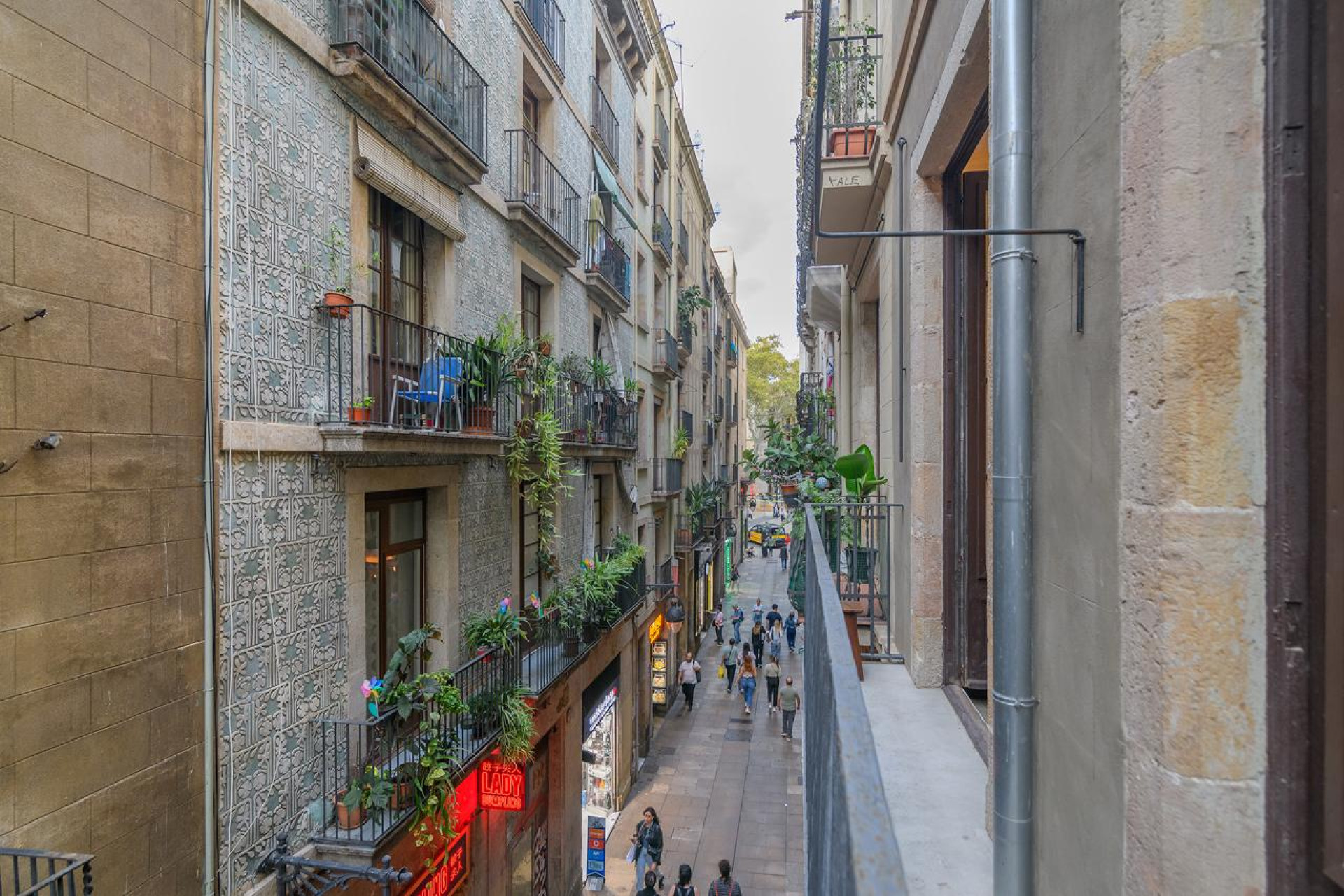 Resale - Apartment / flat - Barcelona - Ciutat Vella