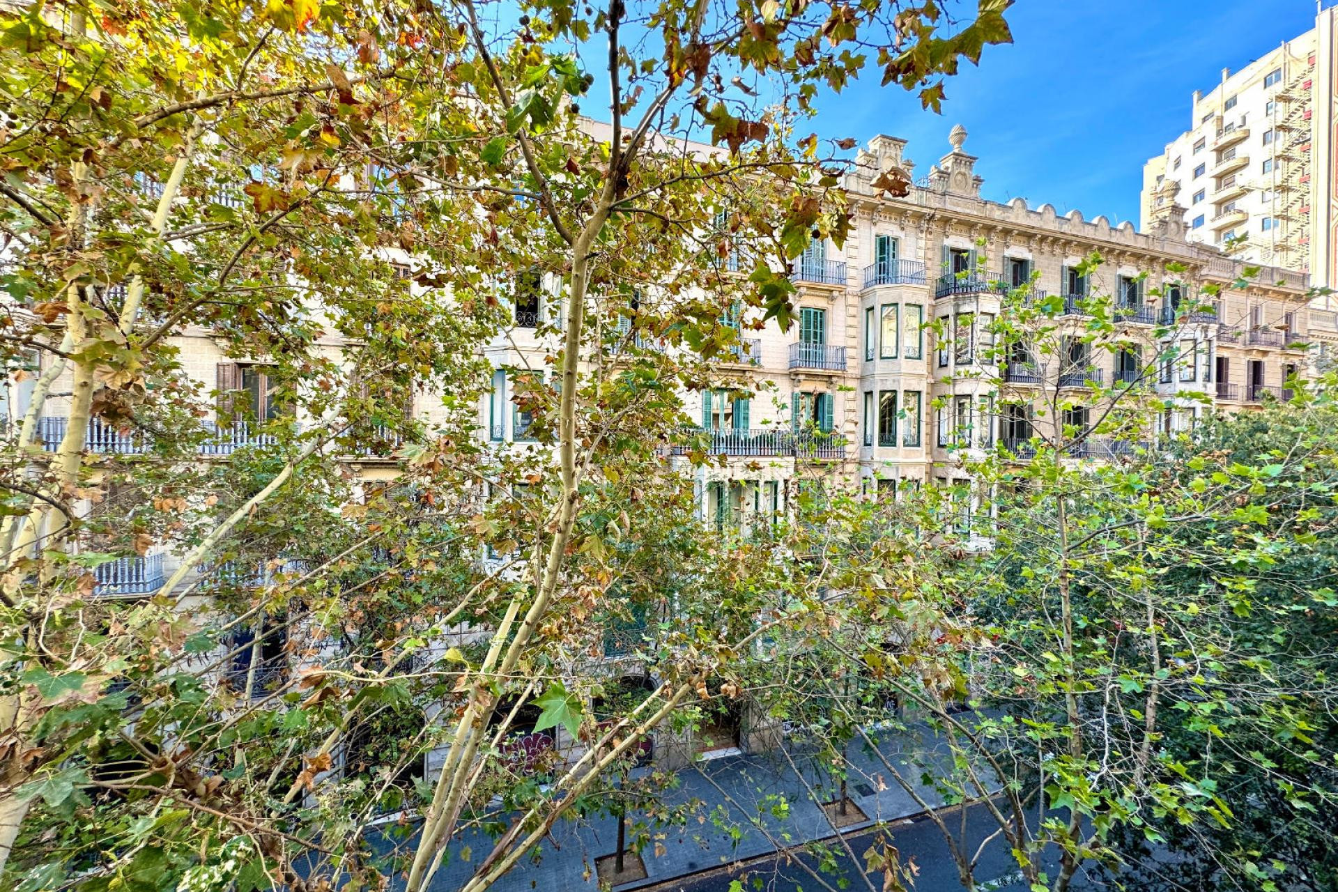 Resale - Apartment / flat - Barcelona - Eixample / Dreta Eixample