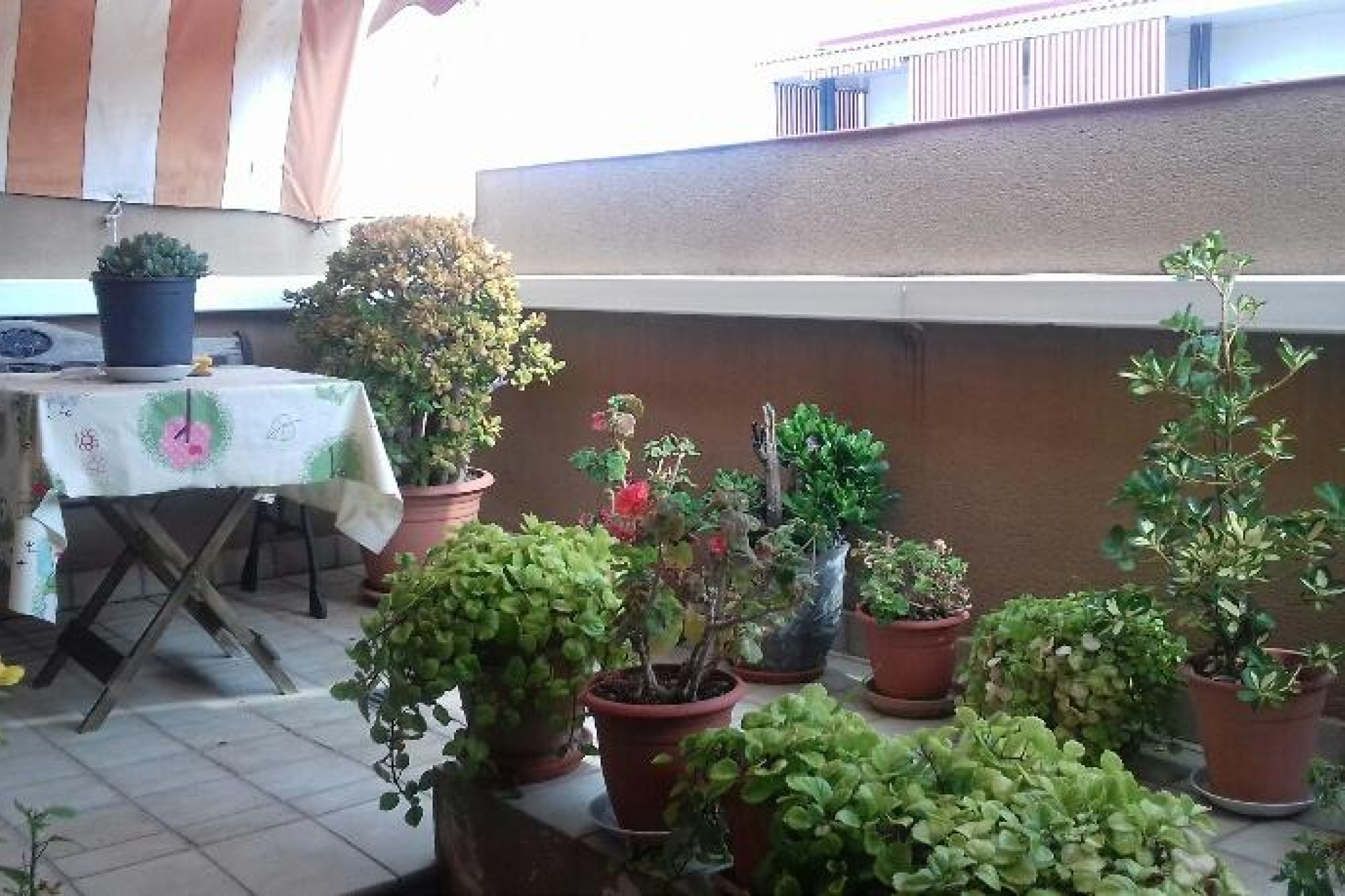 Resale - Duplex - Pineda de Mar - Poble