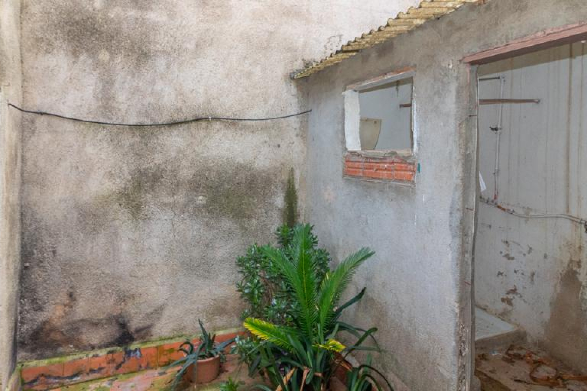 Resale - Otro - Rabos