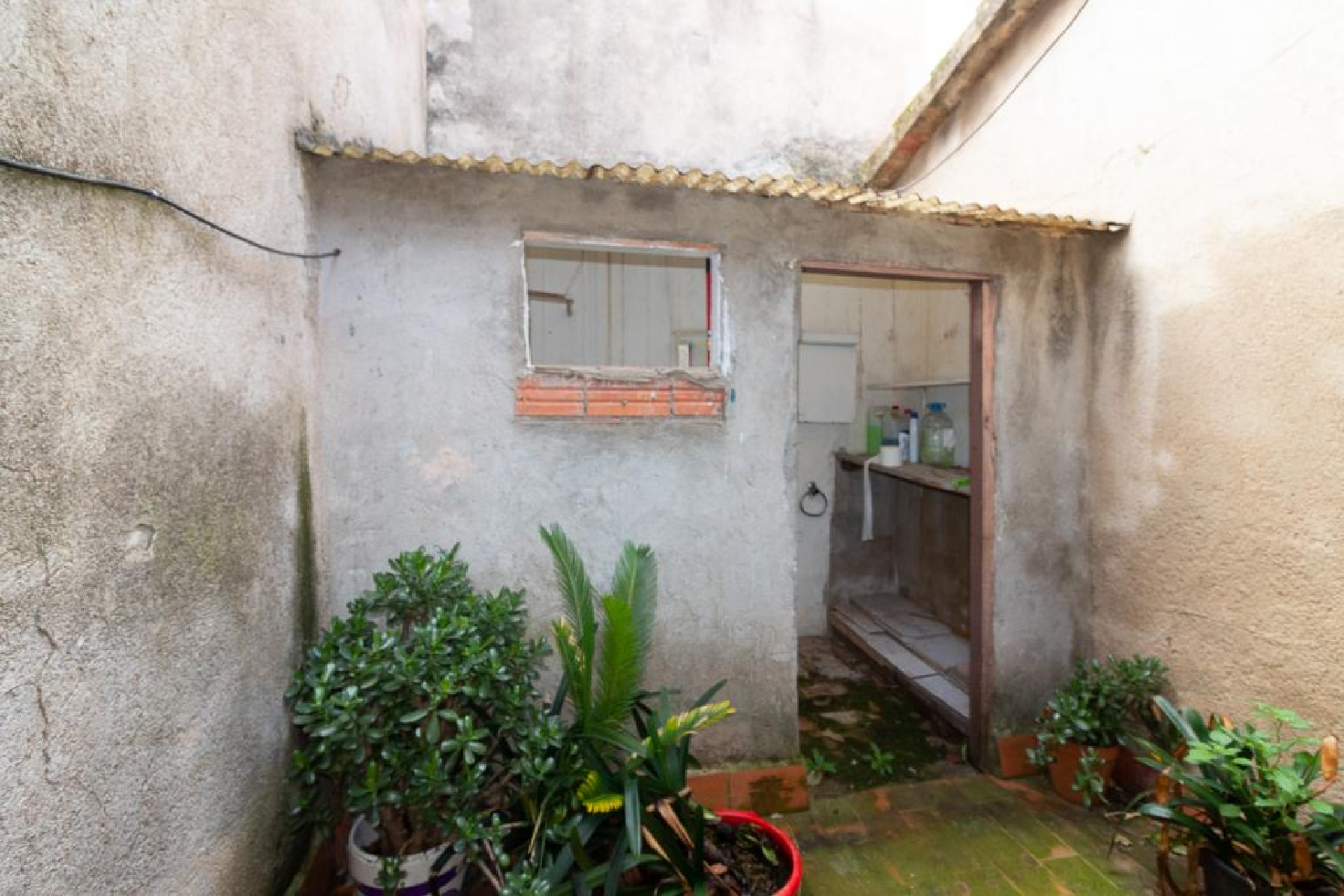 Resale - Otro - Rabos