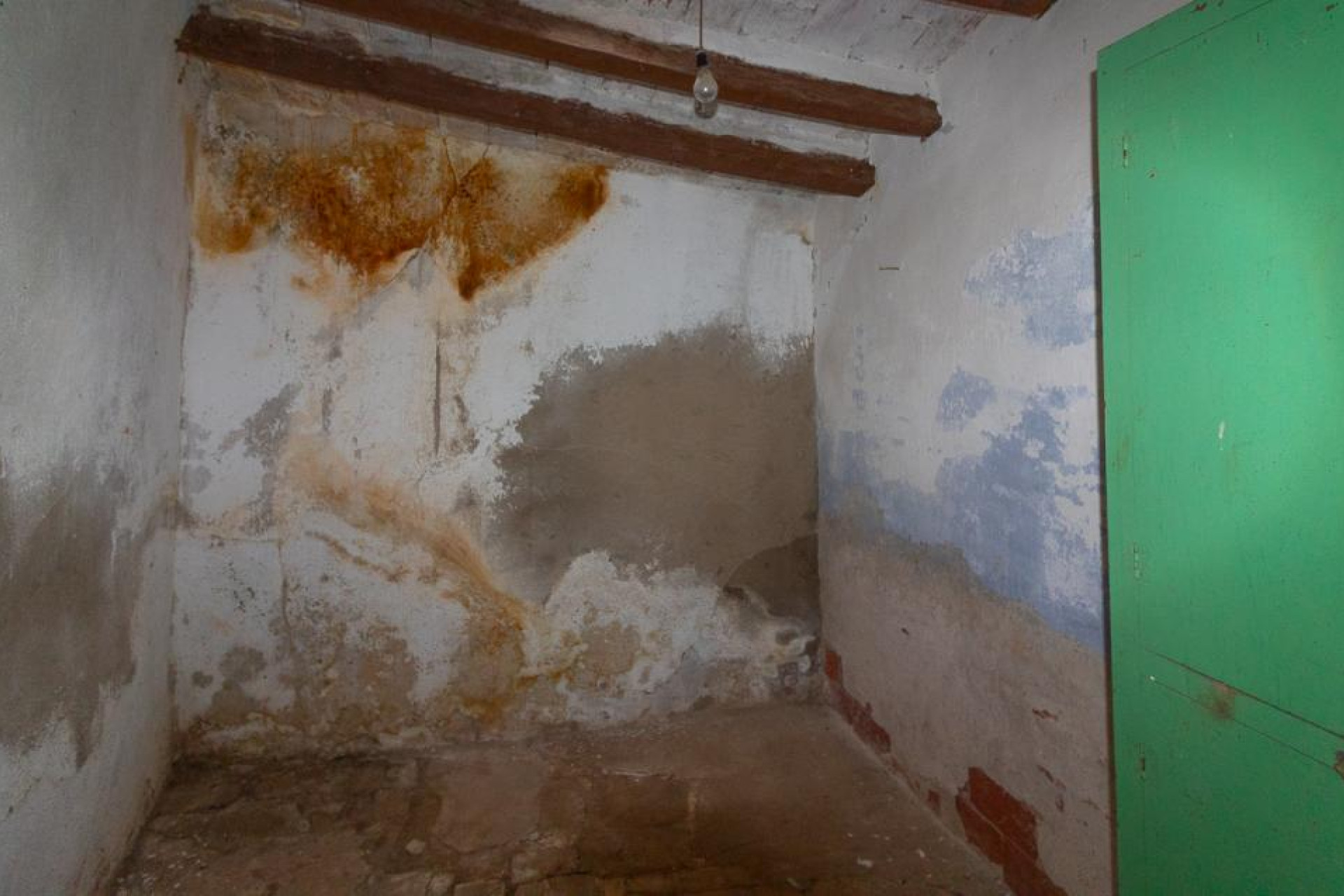 Resale - Otro - Rabos