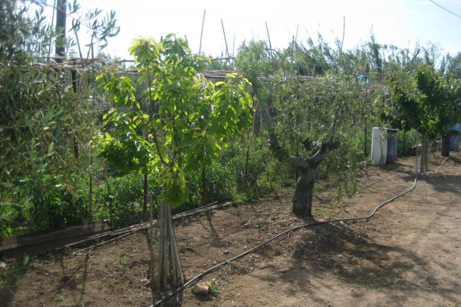 Resale - Villa - Valls