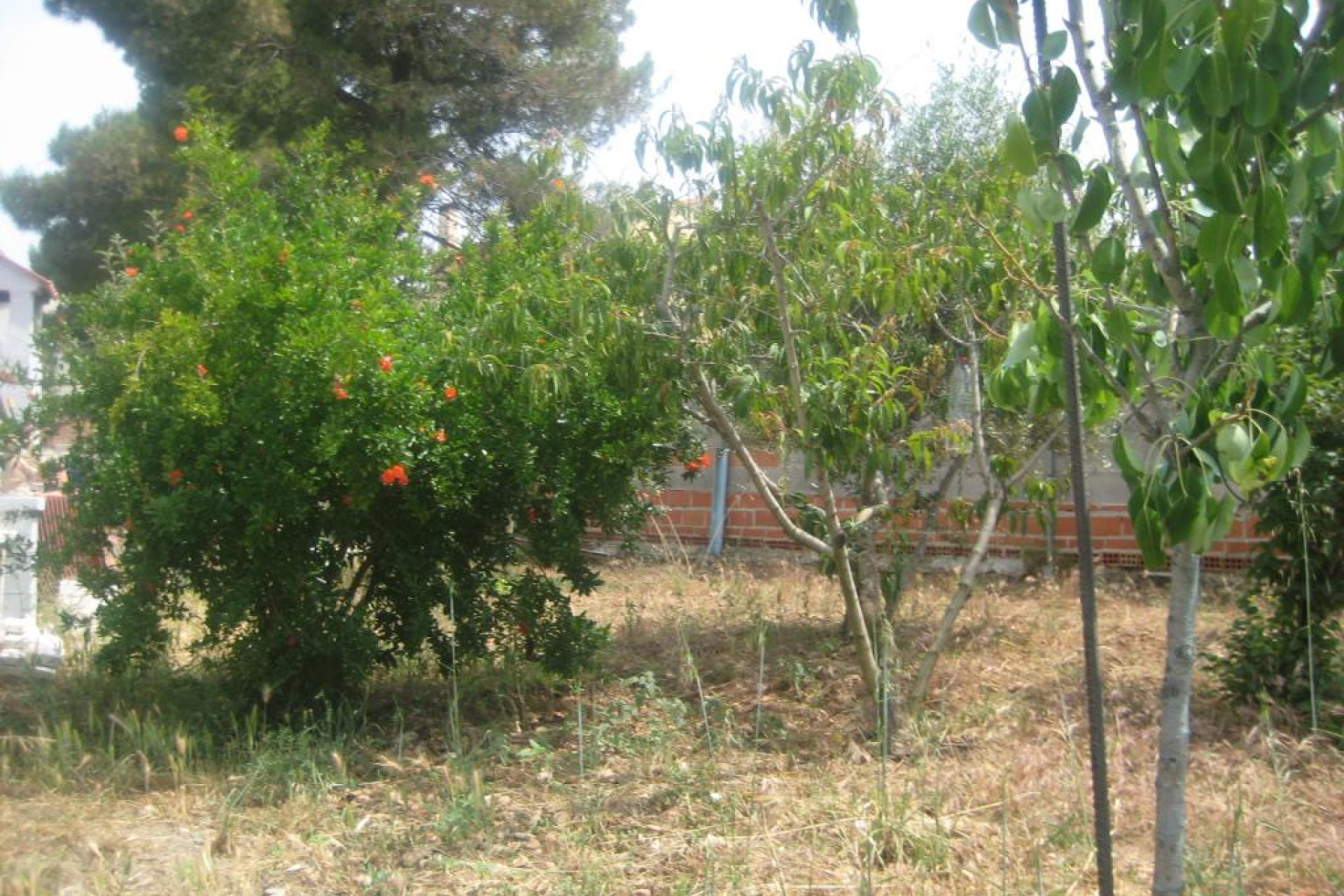 Reventa - Chalet - Cabra del Camp