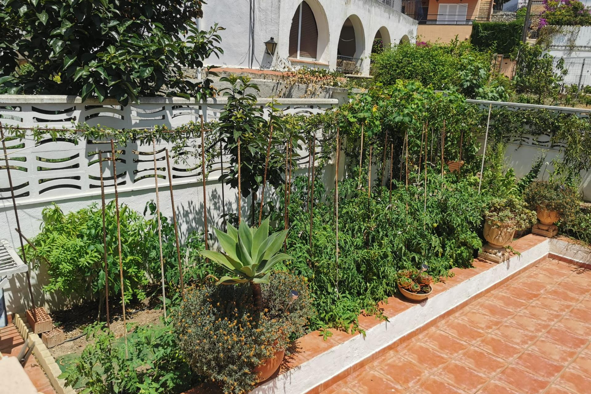 Reventa - Unifamiliar adosada - Creixell