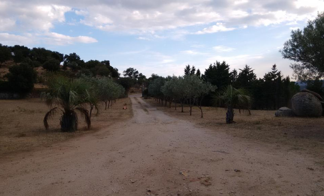 Herverkoop - Boerderijen - Jonquera, La