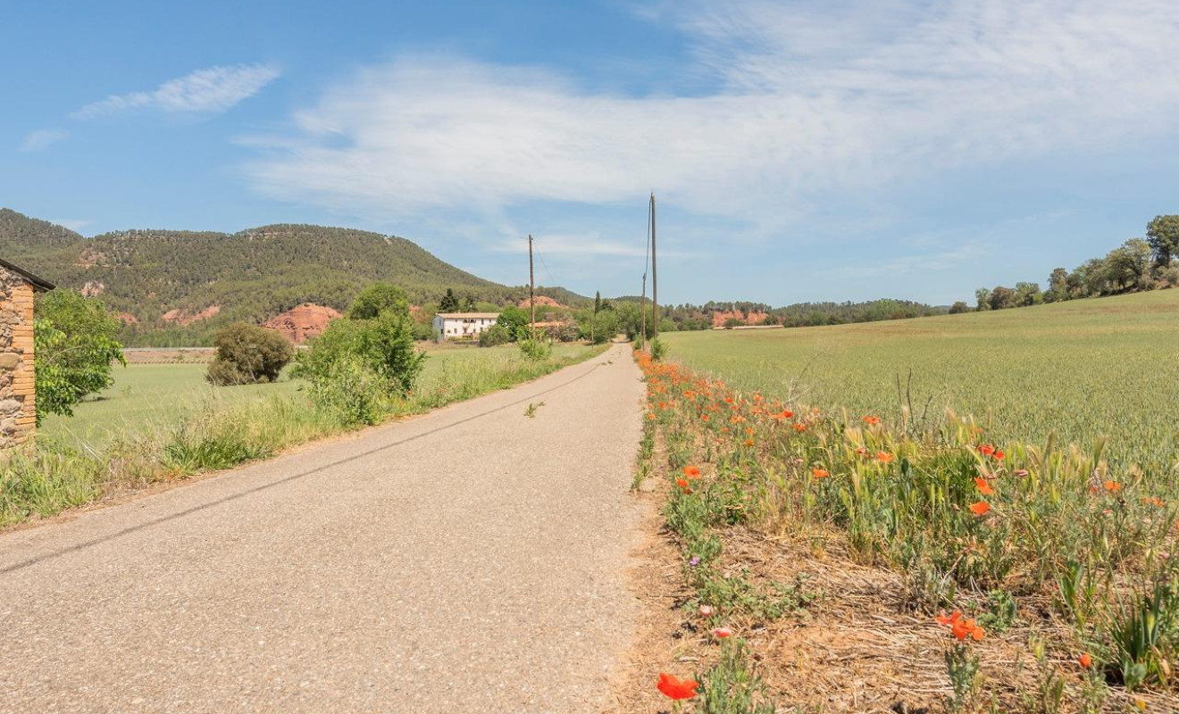 Resale - Farmhouses - Artés