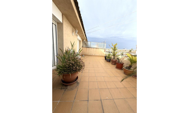 Reventa - Duplex - Terrassa - Can Boada