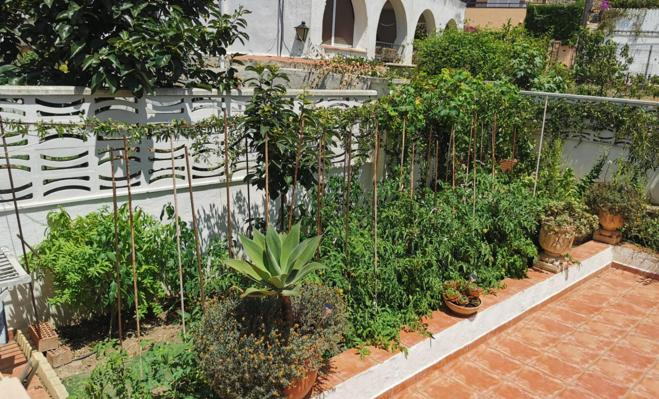 Reventa - Unifamiliar adosada - Creixell