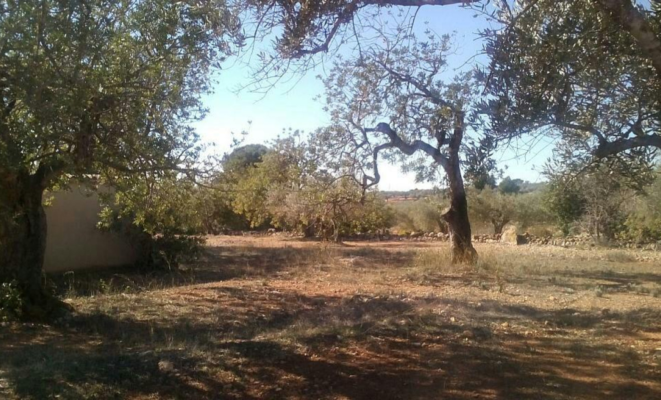 Herverkoop - Boerderijen - Camarles