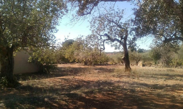 Herverkoop - Boerderijen - Camarles