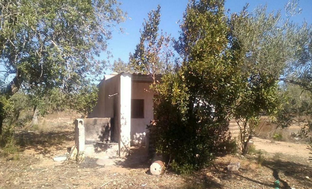 Herverkoop - Boerderijen - Camarles