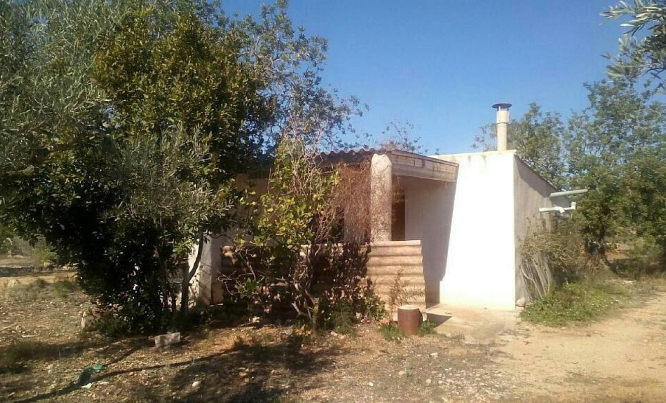 Herverkoop - Boerderijen - Camarles