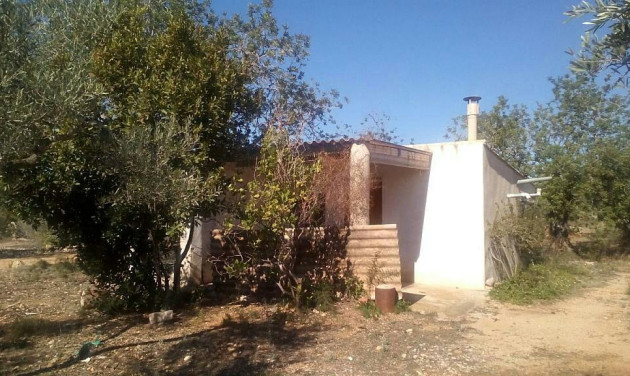 Herverkoop - Boerderijen - Camarles