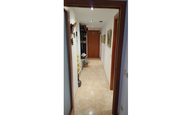 Reventa - Apartamento / piso - Pineda de Mar - Poble